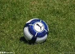 山东校园足,球发展策略,山东模式,平博体育平台,平博体育官方网站,平博体育登录入口,平博体育app下载