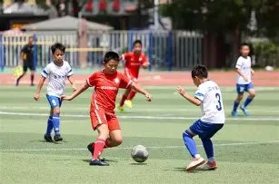 商业汇票办,理步骤详解,平博体育,平博体育平台,平博体育官方网站,平博体育登录入口,平博体育app下载