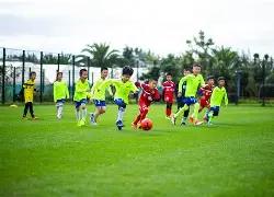 马年春晚吉,祥物揭晓,刘谦预告,平博体育平台,平博体育官方网站,平博体育登录入口,平博体育app下载