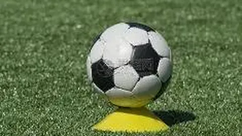 平博体育 资讯 105043 tos